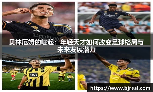 新博集团app