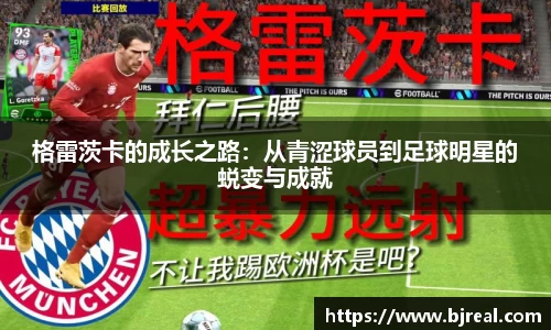 新博2