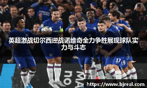 新博官网